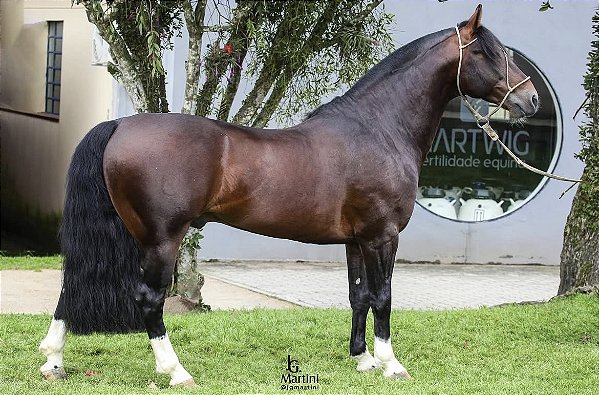 Jalisco da GAP São Pedro