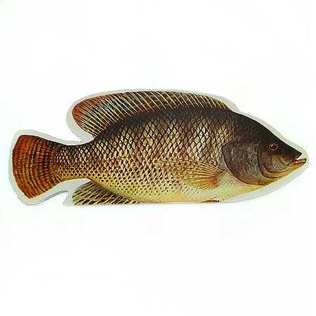 Envelope Peixe Grande para Dízimos, Ofertas e Campanha da Pesca