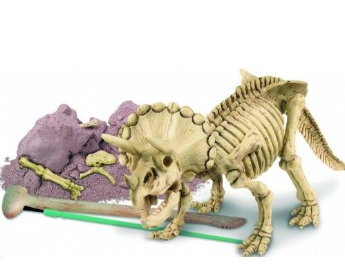 Kit de Escavação de Esqueleto - Tricerátopo