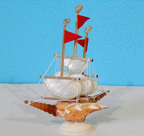 sail boat abalone 20 cm - unid