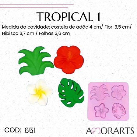 Molde de silicone Tropical 1 --CÓD 651