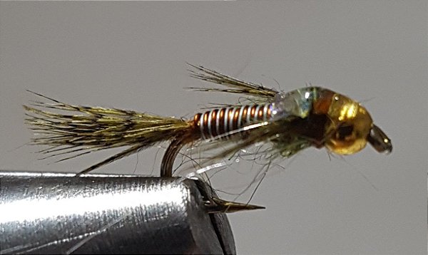 Copper jonh-Variant