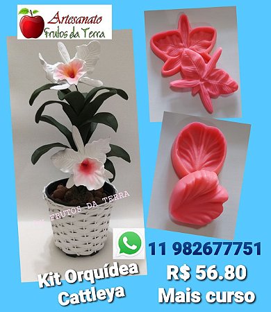 Kit Orquídea Catleya