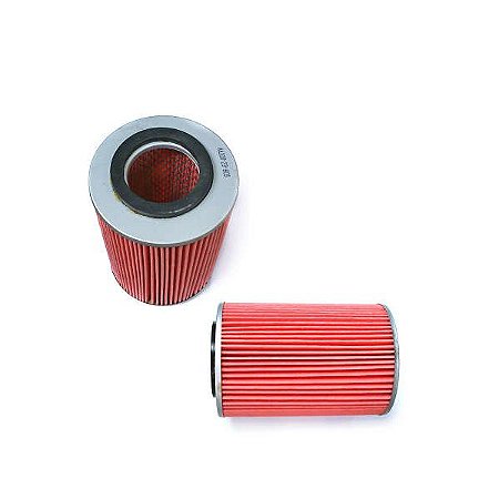 FILTRO AR ASIA TOWNER 800cc 3 CIL 6v - AA10023603