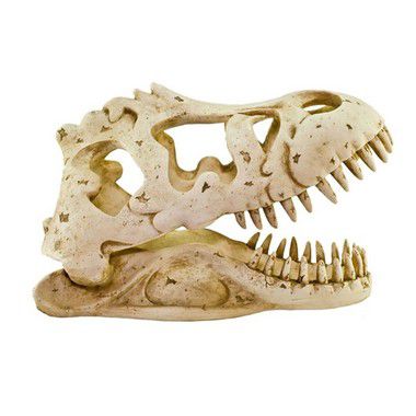 Toca Esqueleto P Cabeça De Tiranossauro Rex Para Gecko e Corn Snake