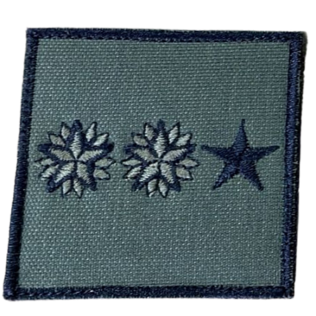 Insígnia de Baixa Visibilidade - Tenente Coronel