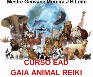 CURSO EAD GAIA ANIMAL REIKI