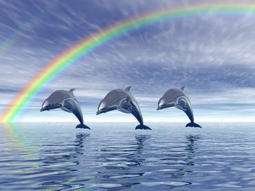 Curso EAD Reiki dos Golfinhos ou Dolphin Reiki