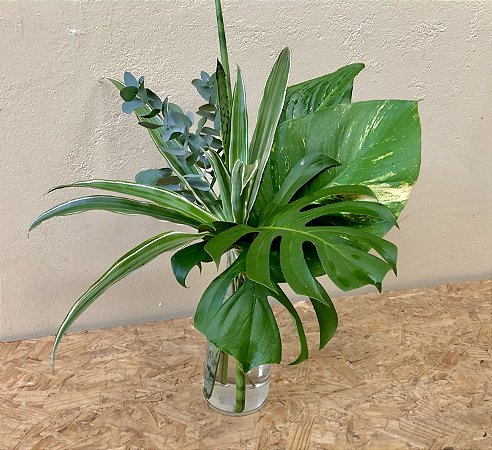 Assinatura floral de arranjo com folhagem