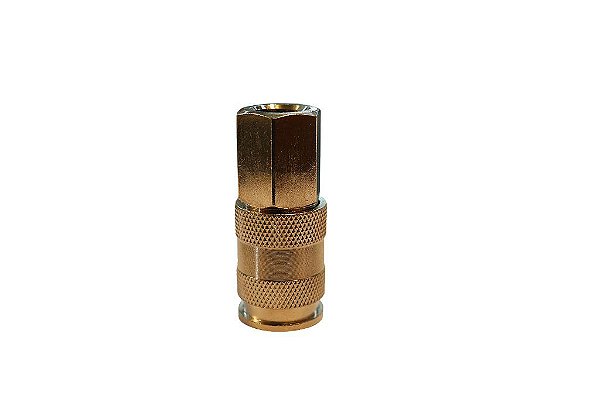 ENGATE RAPIDO ROSCA FEMEA 1/4 NPT F1 PUMA