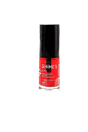 LIP TINT SHINES 04