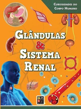 Glândulas & Sistema Renal