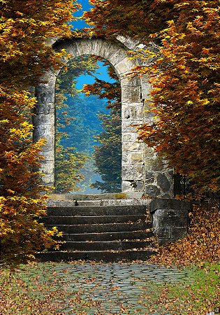 Fundo Fotográfico Tecido Poliéster - P366