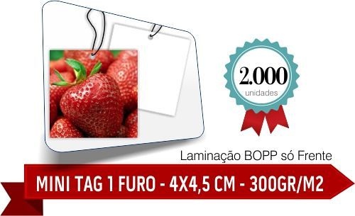 2.000 MINI TAG Corte Reto - 1 Furo - Formato 4x4,5 cm