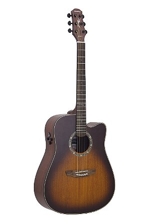 Violão Strinberg Aço Elétrico LE50 VSS - COM CAPA