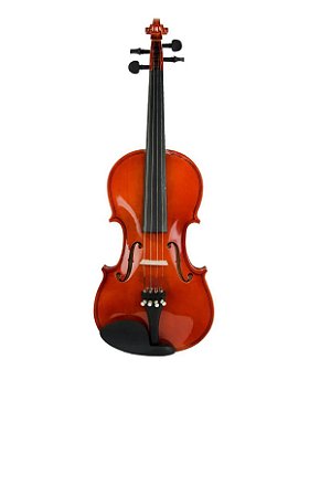 Violino Vignoli 4/4 Vig144 Estojo Arco breu
