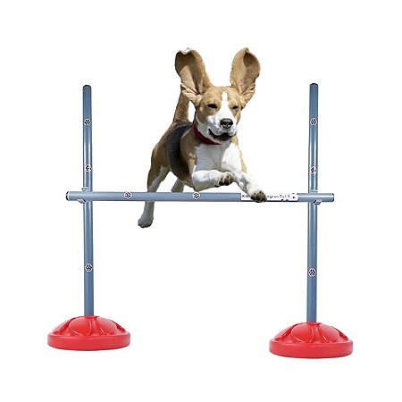 SALTO MEDIO DE 70M PARA AGILITY - ADESTRAMENTO E RECREAÇÃO DE CACHORRO