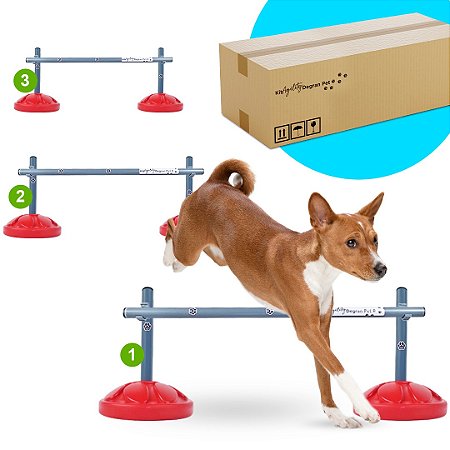 3 MINI SALTOS PARA AGILITY - ADESTRAMENTO E RECREAÇÃO