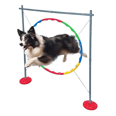 SALTO CIRCULAR PARA CACHORRO - Adestramento E Recreação