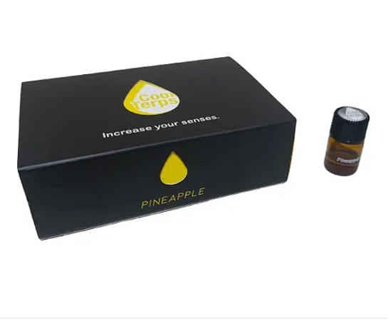 TERPENO PINEAPPLE 1ML COOL TERPS