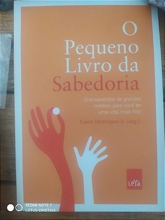 O Pequeno Livro da Sabedoria