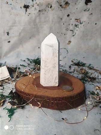 Ponta de Cristal Gerador - Howlita 201  Gramas - Sextavado