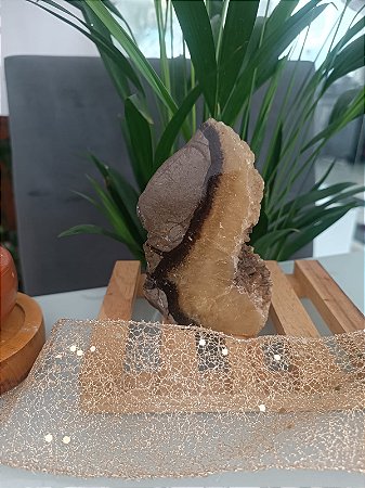 Septarina – Pedra Rara de Poder Ancestral, Beleza Única e Alta Vibração