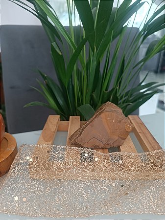 Olho de Tigre – Força Interior, Proteção e Prosperidade