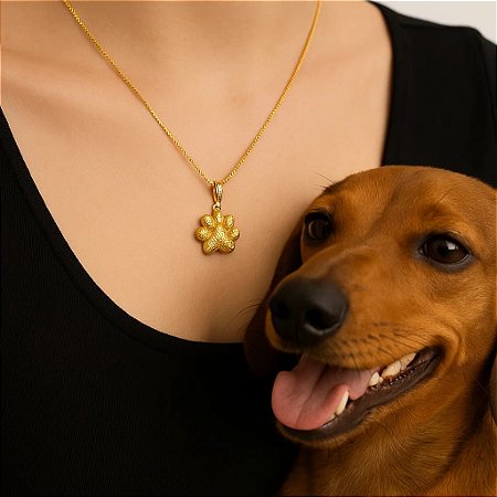 Colar com pingente de patinha cravejado folheado em ouro 18k