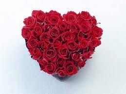 Almofadas Corações de Rosas