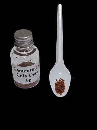Sementinha Cola Osso   Frasco com 6 g.
