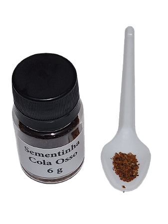 Sementinha Cola Osso   Frasco com 6 g. Kit com 5 frascos