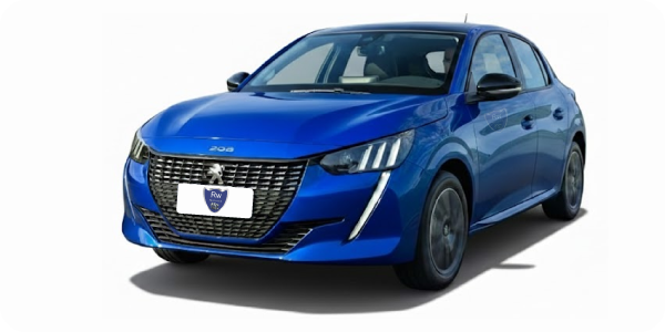 Retífica de Motor Peugeot 208 Active 1.0 12v 200 Turbo Flex