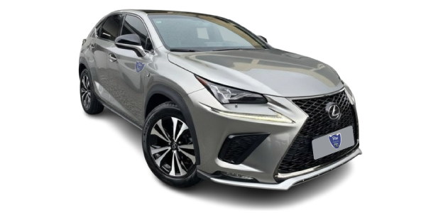 Retífica de Motor Lexus Nx 300 Luxury 2.0 16V VVT-i Turbo Gasolina