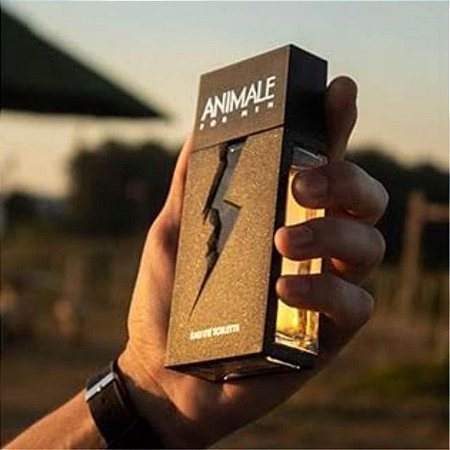 Perfume Animale For Men Edt 100ml Para Masculino Original