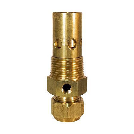 Valvula Retencao 1" Npt - 25/30Apv/25Blue - Chiaperini