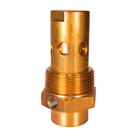 Valvula Retencao 1.1/4" Npt - 40/40+/60/60+/80/40/60Blue - Chiaperini