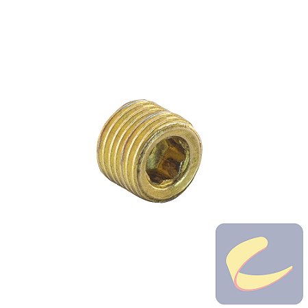 Plug Allen 1/4Bsp Aço - Lavadoras Lavajato - Chiaperini