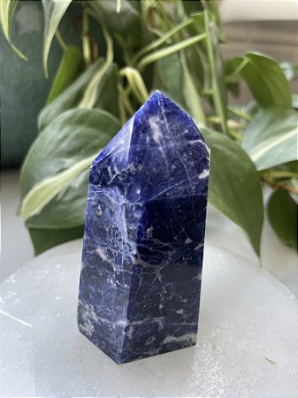 Pedra 2024 -  Ponta cristal Sodalita - Signo de Sagitário