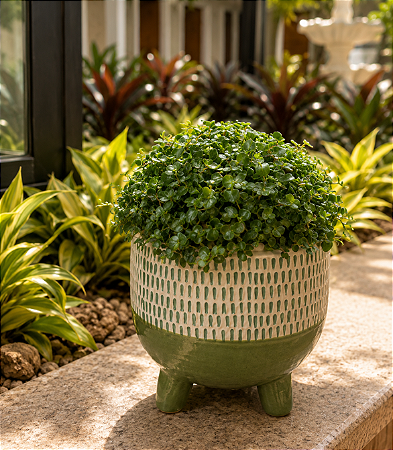 Cachepô Decorativo em Cerâmica Verde 16cm – Elegância e Versatilidade | Casa de Lila