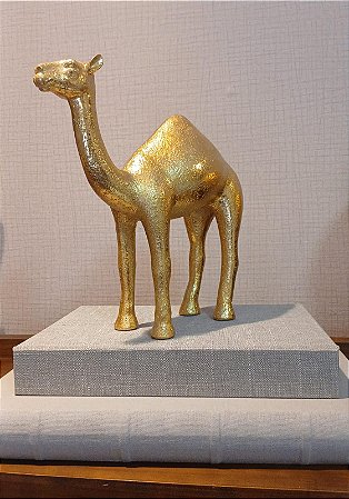 Escultura Dromedário em Polirresina - Médio