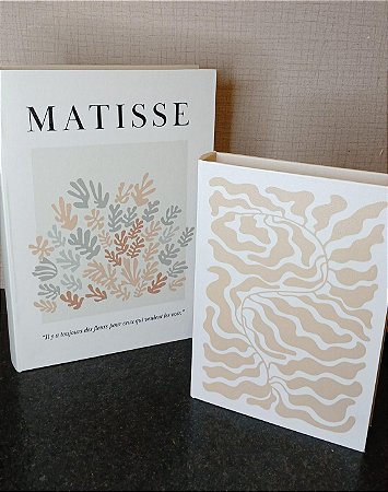 Kit Livros Caixas Matisse - 2 peças
