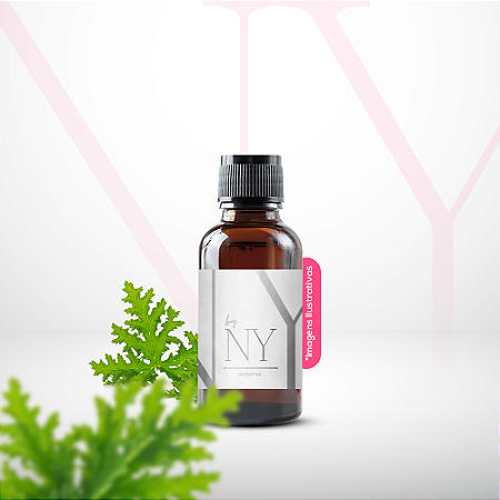 Essência Ambiente Tradicional Citronela