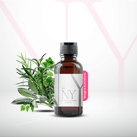 Essência Ambiente Tradicional Herbal