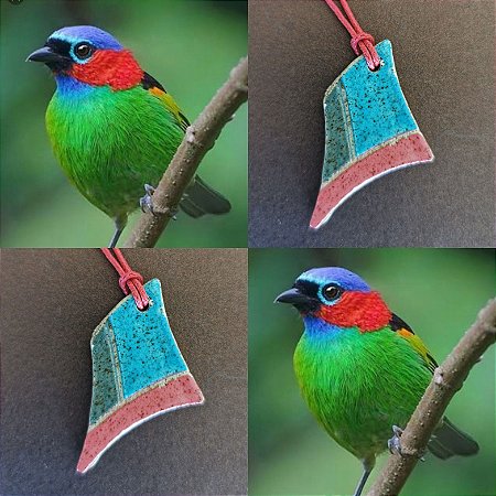 Colar de Ceramica - Saira-militar - Tangara cyanocephala - Floresta de Mata Atlantica - Feito a mao