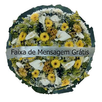 H1 - Coroa de Flores Consolação