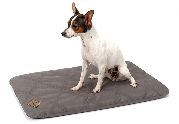 Colchonete para cachorro Resistente Cinza Bichinho Chic - P - PetDuka Pet  Shop