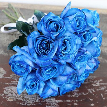 Buquê de 20 Rosas azul - Fênix Floricultura - Flores e presentes