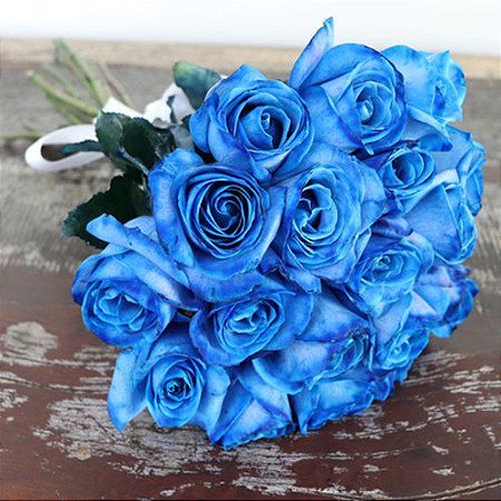 Buquê de 20 Rosas azul - Fênix Floricultura - Flores e presentes
