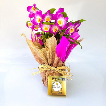 Orquídea Dendrobium Com Ferrero Rocher